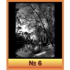 Природа №6